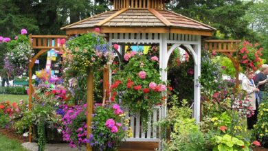 Photo of Строительство беседки в саду