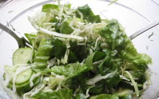 Рецепты салатов из зеленой редьки вместе с фото