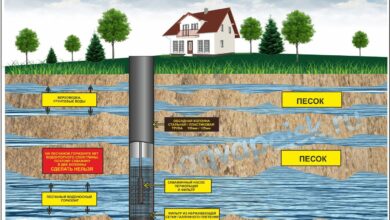 Photo of Выбор места и подготовка территории для скважины