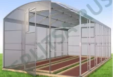 Photo of Особенности использования теплиц в Санкт-Петербурге