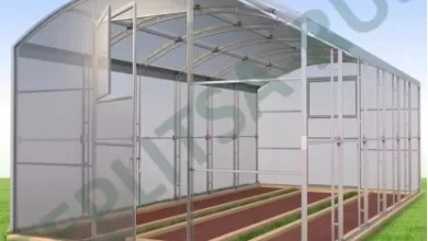 Photo of Особенности использования теплиц в Санкт-Петербурге