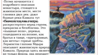 Photo of Природа подробного описания и его значение