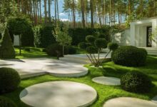 Photo of Экологические приоритеты в современном ландшафтном дизайне Москвы