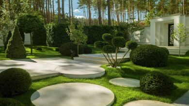 Photo of Экологические приоритеты в современном ландшафтном дизайне Москвы
