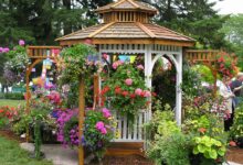 Photo of Строительство беседки в саду