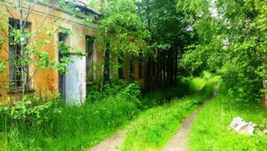 Photo of Апгрейд столовой на производстве