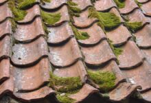 Photo of Ремонт крыши дома