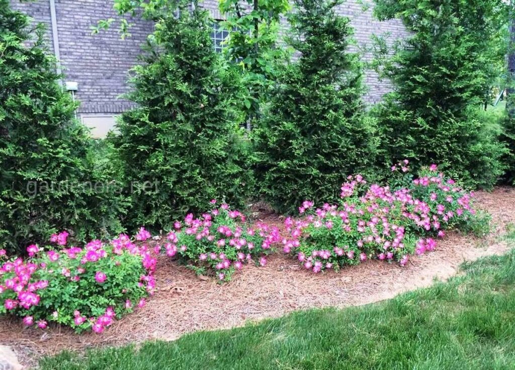 Фото 62 — Постройка забора на участке