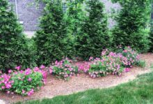 Photo of Постройка забора на участке