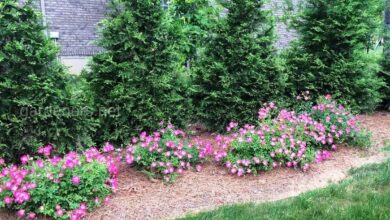 Photo of Постройка забора на участке